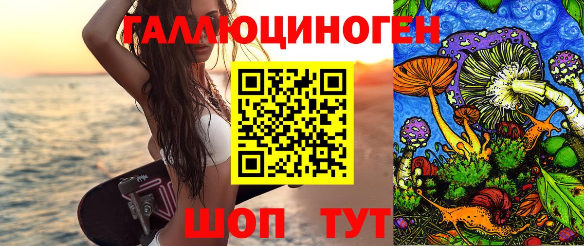 Щёлково  Галлюциногенные грибы прущие грибы  Вход с VPN  Псилоцибиновые грибы Psilocybe 